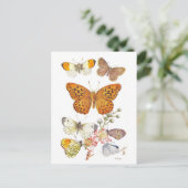 Vintage Butterfly Illustration Postkarte (Stehend Vorderseite)
