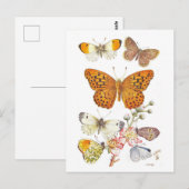 Vintage Butterfly Illustration Postkarte (Vorne/Hinten)