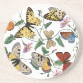 Vintage Butterfly & Moth-Malerei Getränkeuntersetzer (Vorne)