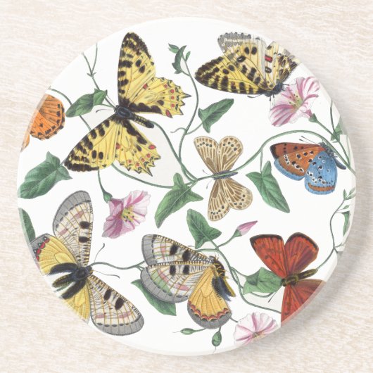Vintage Butterfly & Moth-Malerei Getränkeuntersetzer (Vorne)