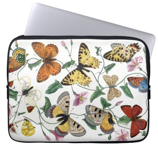 Vintage Butterfly & Moth-Malerei Laptopschutzhülle (Vorderseite)