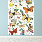 Vintage Butterfly & Moth-Malerei Leinwanddruck (Insitu (Holzboden))