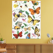 Vintage Butterfly & Moth-Malerei Leinwanddruck (Insitu (Wohnzimmer))