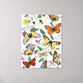 Vintage Butterfly & Moth-Malerei Leinwanddruck