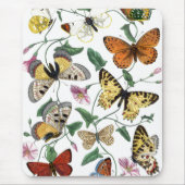 Vintage Butterfly & Moth-Malerei Mousepad (Vorne)