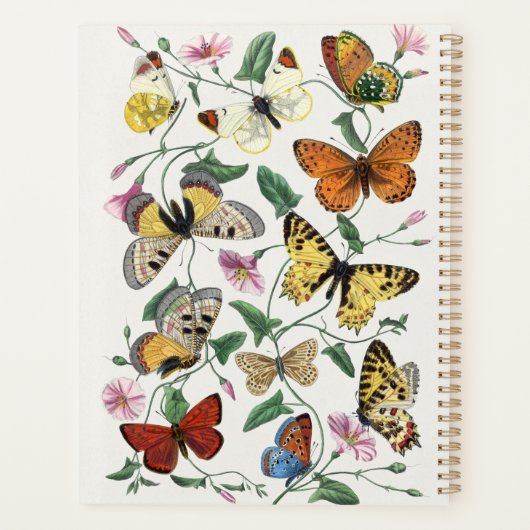 Vintage Butterfly & Moth-Malerei Planer (Rückseite)