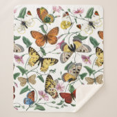Vintage Butterfly & Moth-Malerei Sherpadecke (Vorderseite)