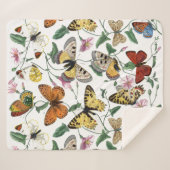 Vintage Butterfly & Moth-Malerei Sherpadecke (Vorderseite (Horizontal))