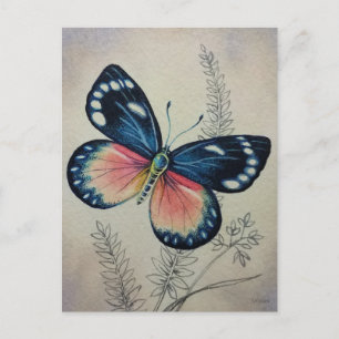 Vintage Butterfly Nr. 2 Aquarell-Kunst Postkarte