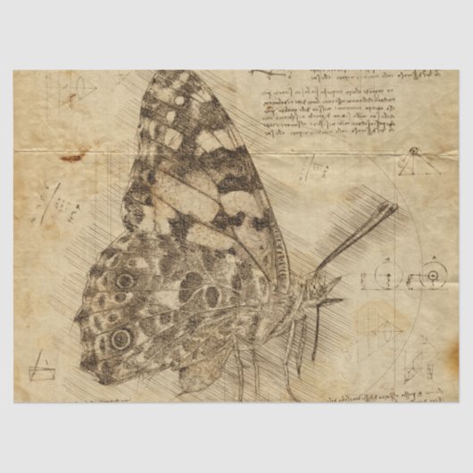 Vintage Butterfly Rustic Style | Seidenpapier (Vorderseite)