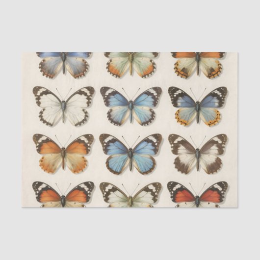 Vintage Butterfly Specimen Collection Seidenpapier (Vorderseite)