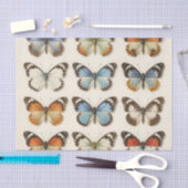 Vintage Butterfly Specimen Collection Seidenpapier (Handwerk)