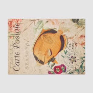 Vintage Butterflyfish Illustration Seidenpapier