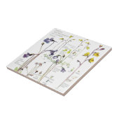 Vintage Butterwort-Wildblume-Blumen-Fliese Fliese (Seite)