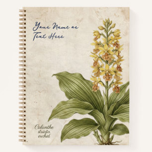 Vintage Calanthe Striata Botanische Fälschung Notizblock