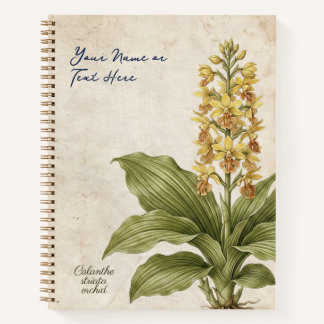 Vintage Calanthe Striata Botanische Fälschung Notizblock