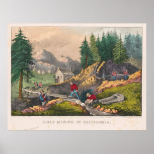 Vintage California Gold Rush Illustration (1871) Poster