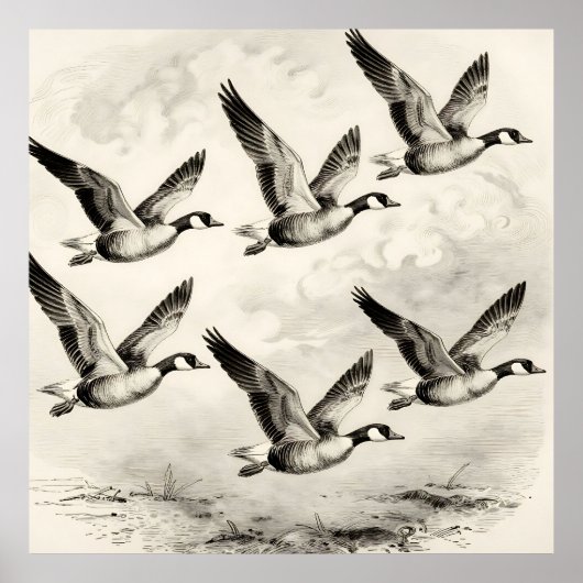 Vintage-Canadagänse im Flug - Gravur Poster (Vorne)