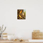 Vintage Canary Song Bird Template Canaries des 18. Poster (Küche)