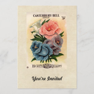 Vintage Canterbury Glockenblumen-Blüten-Samenpacku Einladung