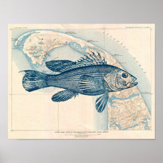 Vintage Cape Cod-Karte mit Seebarsch Poster