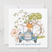 Vintage Car Niedlich Fox Boy Geburtserklärung (Vorderseite)