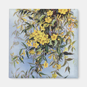 Vintage Carolina Jessamine Gelbe Blumen Floral Magnet