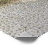 Vintage cat and dog intimate friendship poster (Ecke)