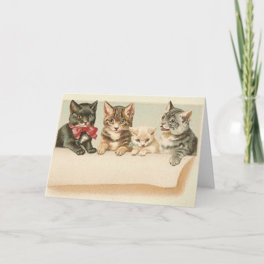 Vintage Cat Family Portrait Note Card Karte (Vorderseite)