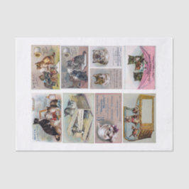 Vintage Cat Themed Trade Cards (nicht KI) Seidenpapier