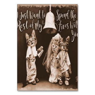 Vintage Cat Wedding Niedliche Katzengestaltung Tischnummer
