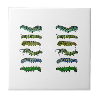Vintage Caterpillar-Illustration Tasse  Fliese