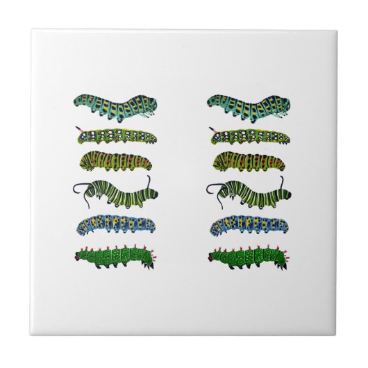 Vintage Caterpillar-Illustration Tasse Fliese (Vorderseite)