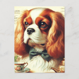 Vintage Cavalier King Charles Spaniel Gemälde Postkarte