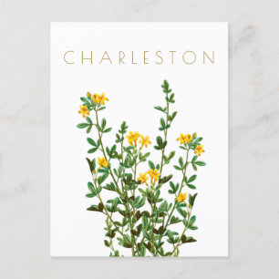 Vintage Charleston Blumen Reise Mitte des Jahrhund Postkarte