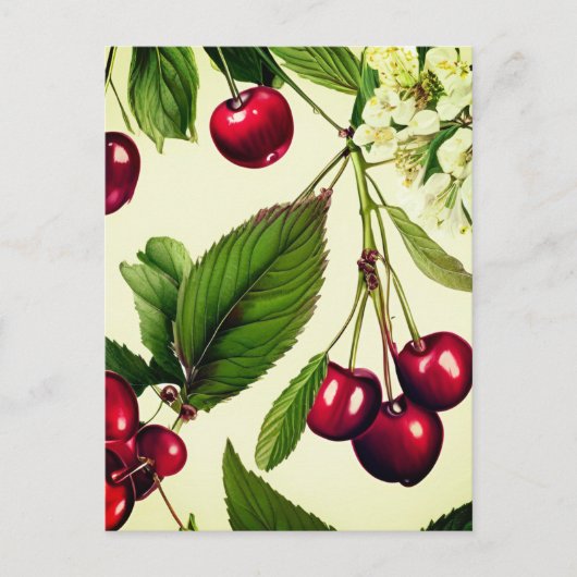Vintage Cherry Illustration Postkarte (Vorderseite)