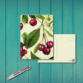 Vintage Cherry Illustration Postkarte