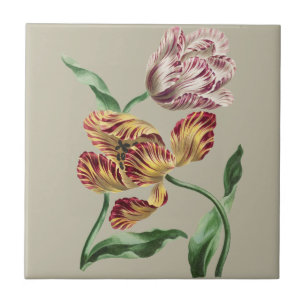 Vintage Chic Botanische Tulpen-Kunst aus dem 18. J Fliese