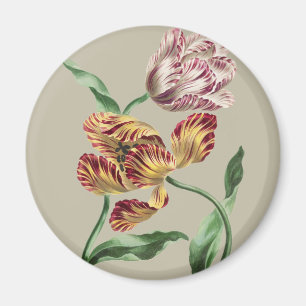 Vintage Chic Botanische Tulpen-Kunst aus dem 18. J Magnet
