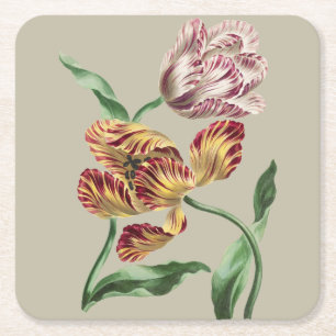 Vintage Chic Botanische Tulpen-Kunst aus dem 18. J Rechteckiger Pappuntersetzer