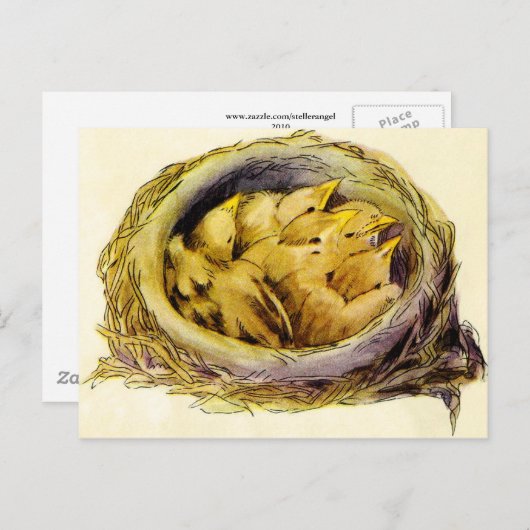 Vintage Chicks Postkarte (Vorne/Hinten)