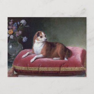 Vintage-Chihuahua-Porträt Postkarte