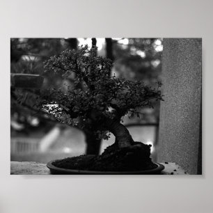 Vintage China Guilin Miniatur Bonsai Pot Poster
