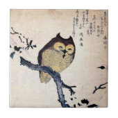 Vintage chinesische Eulen-Fliese - Trivet Fliese (Vorderseite)