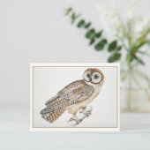 Vintage chinesische Owl Illustration Postkarte (Stehend Vorderseite)