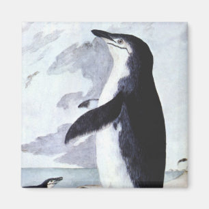 Vintage Chinstrap-Pinguin, Vögel aus der Antarktis Magnet