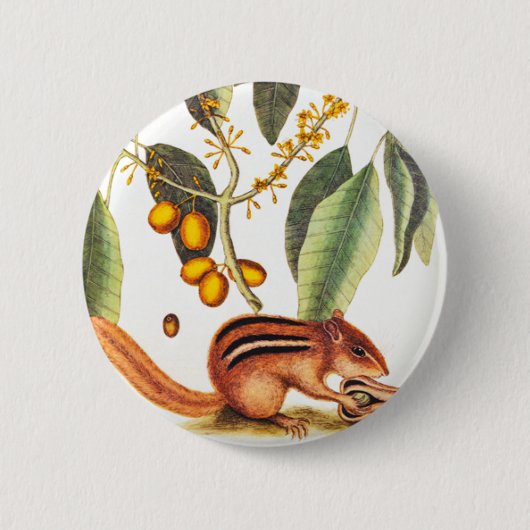 Vintage Chipmunk-Illustration Button (Vorderseite)