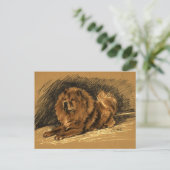 Vintage Chow-Hund Postkarte (Stehend Vorderseite)