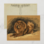 Vintage Chow-Hund Postkarte (Vorne/Hinten)