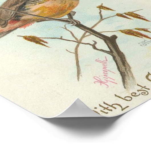 Vintage Christmas Bird Poster (Ecke)